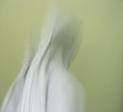 A blurred figure draped in white fabric against a pale yellow background, creating an ethereal, ghostly effect.