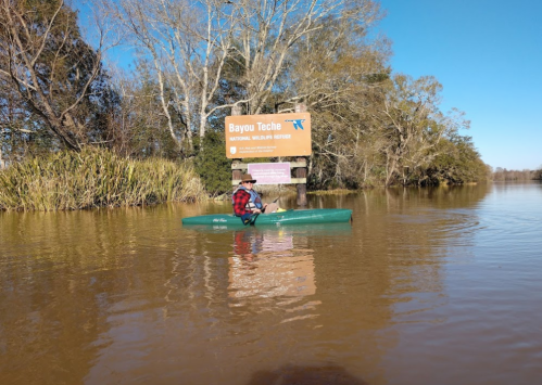 A person in a kayak paddles near a sign for Bayou Teche National Wildlife Refuge, surrounded by trees and water.
