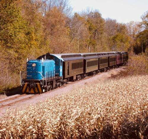 A blue train with several green passenger cars travels along a track through a wooded area and cornfield.
