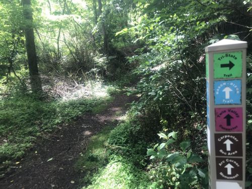 A wooded trail with a signpost indicating directions for various paths, surrounded by lush greenery.