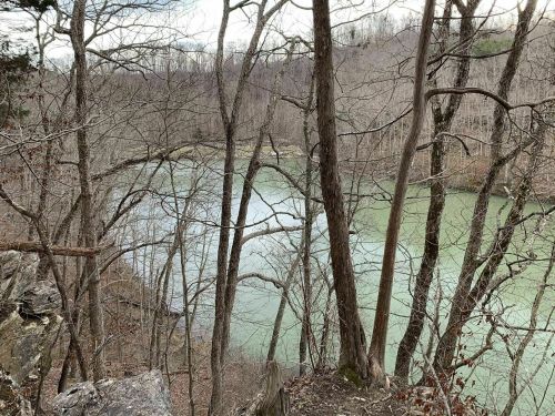 A serene view of a greenish river surrounded by bare trees and rocky terrain in a tranquil natural setting.