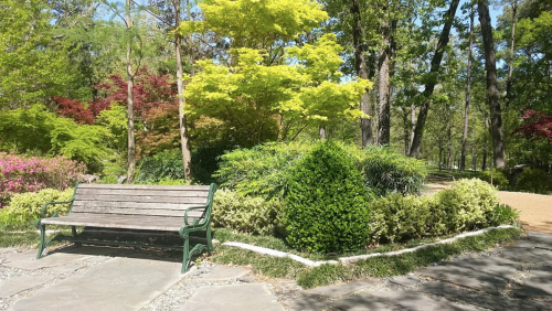 A peaceful garden scene featuring a wooden bench surrounded by vibrant greenery and colorful flowering plants.