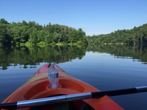 A kayak on calm water, surrounded by lush green trees and a clear blue sky, with a water bottle on the kayak.