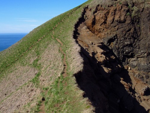 A grassy hillside slopes down to a rocky cliff by the ocean, with a narrow path winding along the edge.