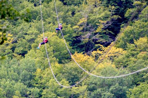 Two people ziplining through a lush green forest with vibrant trees in the background.