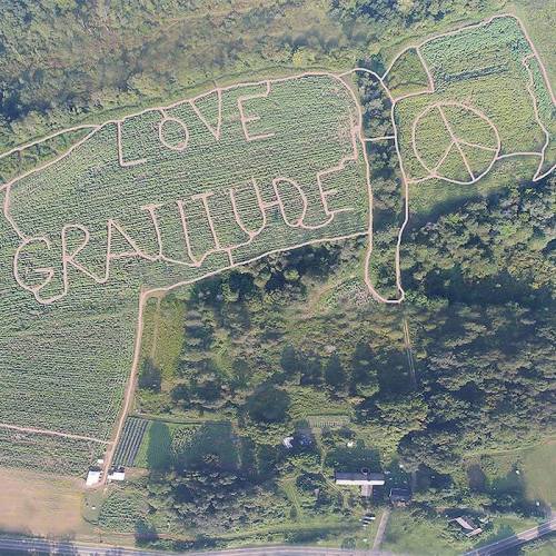 Aerial view of a field with the words "Love" and "Gratitude" carved into the landscape, alongside a peace symbol.