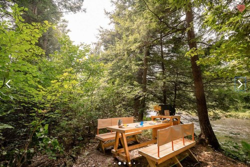 A serene outdoor dining setup with a wooden table and chairs surrounded by lush greenery near a river.