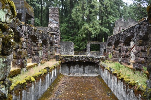 Ruins of a stone structure surrounded by trees, featuring moss-covered walls and an empty, overgrown pool area.