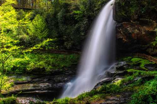 A serene waterfall cascades over rocks, surrounded by lush green foliage and trees in a tranquil natural setting.