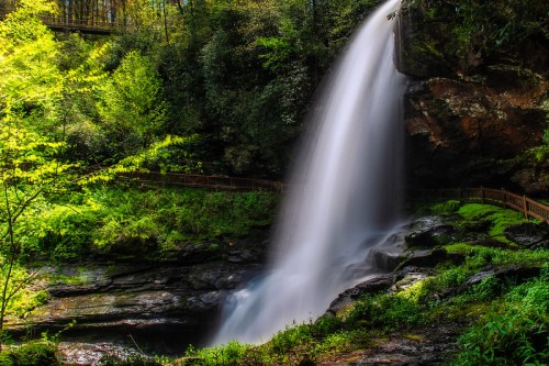 A serene waterfall cascades over rocks, surrounded by lush green foliage and trees in a tranquil natural setting.