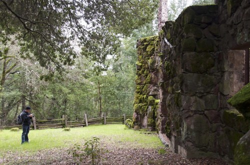 A person stands near a moss-covered stone wall in a forested area, surrounded by greenery and old wooden fencing.