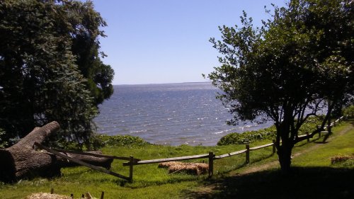A serene view of a lake with a clear blue sky, framed by trees and a wooden fence along the grassy shore.