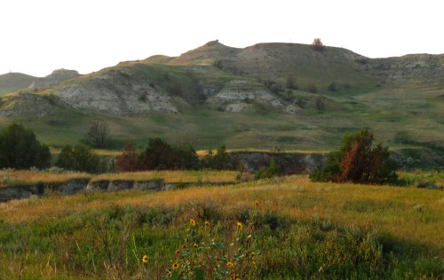 Rolling hills with green grass and scattered trees, illuminated by soft sunlight in a serene landscape.