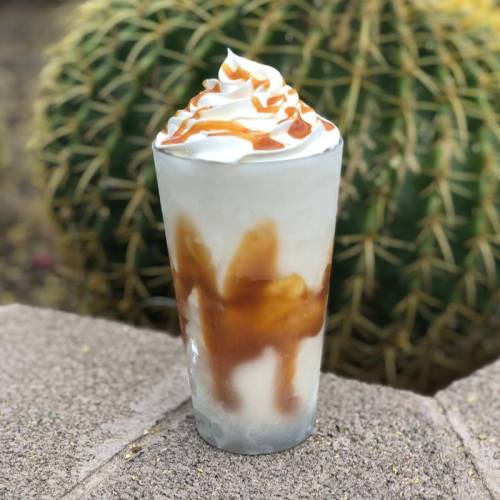 A tall glass of dessert with whipped cream and caramel drizzle, set against a cactus background.