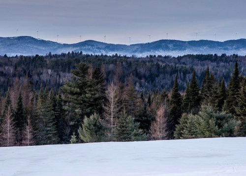 A snowy landscape with evergreen trees in the foreground and distant mountains with wind turbines on the horizon.