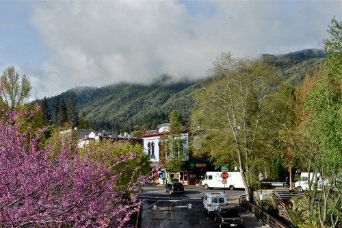 A scenic view of a town with blooming pink trees, surrounded by mountains and misty clouds in the background.