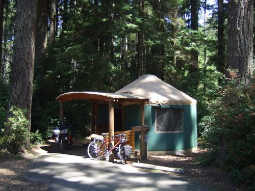 A yurt surrounded by trees, with bicycles parked outside on a sunny day.