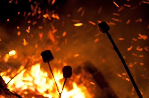 Marshmallows on sticks roasting over a glowing campfire, with sparks flying in the dark background.