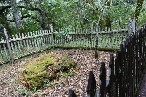 A moss-covered rock inside a weathered wooden fence, surrounded by lush greenery and trees.