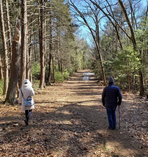 Two people walking on a wooded path, surrounded by trees and fallen leaves, under a clear blue sky.