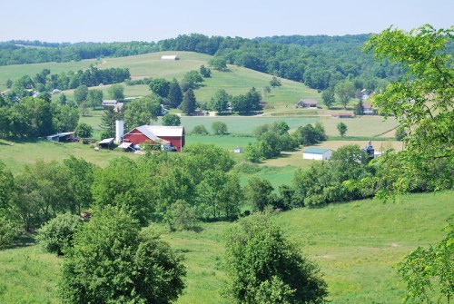 A scenic view of rolling green hills with a red barn and farm buildings nestled among trees and fields.
