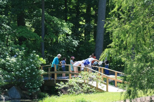 A group of people walking on a wooden bridge in a lush, green park surrounded by trees and flowers.