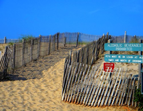 A sandy path leads to a beach, flanked by wooden fences and signs about alcohol and pet leash laws.