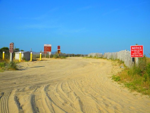 A sandy path leads to a beach, flanked by signs and fencing under a clear blue sky.