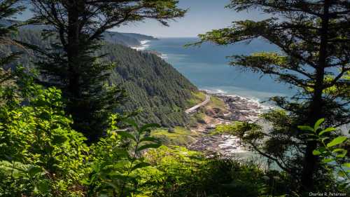 A scenic coastal view with lush greenery, rocky shores, and a winding road along the ocean under a clear blue sky.