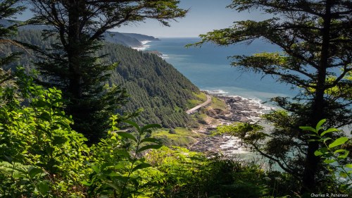 A scenic coastal view with lush greenery, rocky shores, and a winding road along the ocean under a clear blue sky.