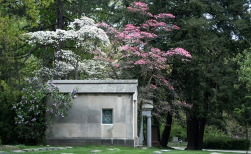 A serene cemetery scene featuring a stone mausoleum surrounded by blooming trees in white and pink.