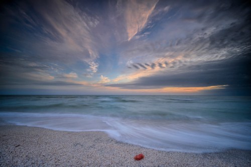 A serene beach scene at sunset, with gentle waves, a cloudy sky, and a small red jellyfish on the sandy shore.