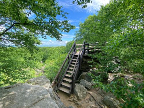 A wooden staircase leads up through lush green trees, overlooking a scenic landscape under a blue sky.