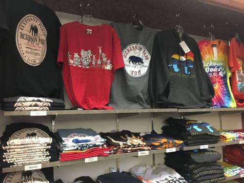 A display of various t-shirts on shelves, featuring colorful designs and sizes labeled from small to medium.