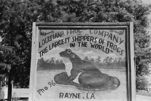 Sign for the Louisiana Frog Company, featuring a large frog illustration and text about being a top frog shipper.