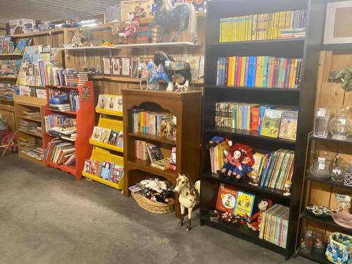 A cozy shop interior featuring bookshelves filled with books, toys, and decorative items.