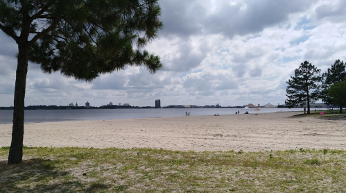 A sandy beach by a calm lake, with trees and clouds in the sky, and a few people in the distance enjoying the scenery.