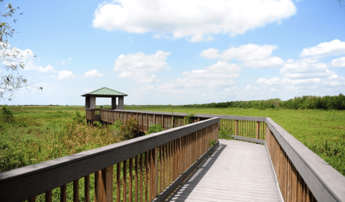 A wooden boardwalk leads to a gazebo overlooking a lush green wetland under a blue sky with fluffy clouds.
