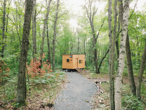 A small wooden cabin nestled in a lush green forest, surrounded by trees and a gravel path leading to it.