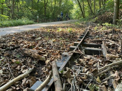 A narrow, overgrown railway track surrounded by fallen leaves and trees, with cyclists in the background on a path.