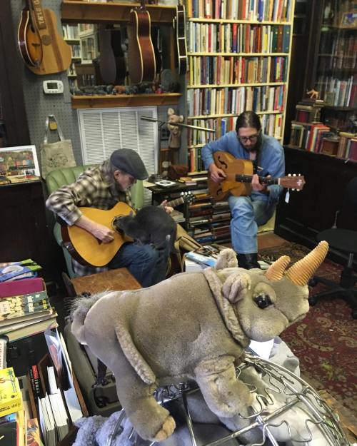 Two musicians play guitars in a cozy bookstore, with a plush rhinoceros toy in the foreground.