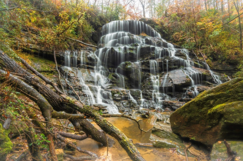 A serene waterfall cascades over rocky ledges, surrounded by autumn foliage and fallen branches.