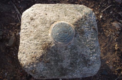 A flat-topped stone with a circular metal survey marker embedded on its surface, surrounded by dirt and leaves.
