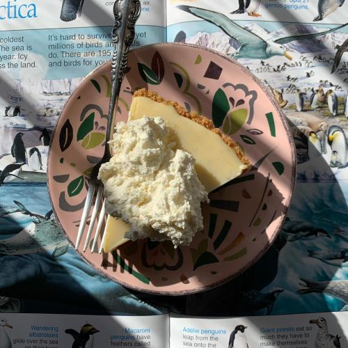 A slice of creamy dessert topped with whipped cream on a decorative plate, resting on a penguin-themed tablecloth.