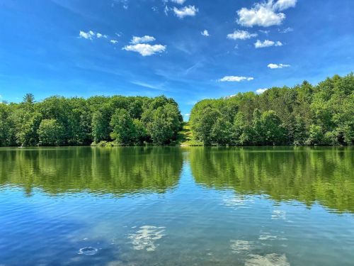 A serene lake surrounded by lush green trees under a bright blue sky with fluffy clouds reflecting on the water.