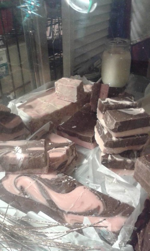 A display of assorted fudge pieces in various flavors, including swirled pink and brown, in a glass case.