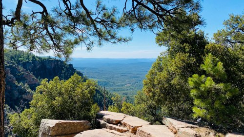 A scenic view of a lush green valley framed by trees and rocky outcrops under a clear blue sky.