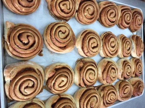 A tray of freshly baked cinnamon rolls with golden-brown swirls, arranged neatly on parchment paper.
