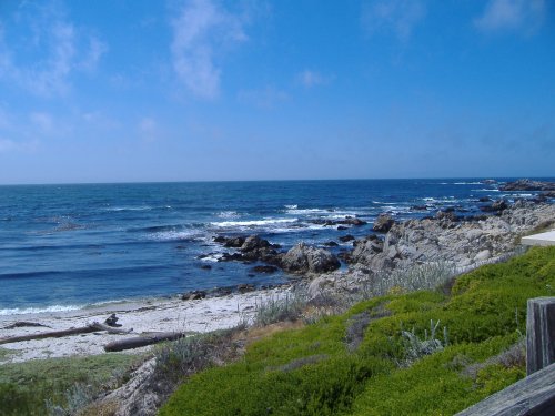 A serene coastal scene with rocky shores, gentle waves, and a clear blue sky. Green vegetation in the foreground.