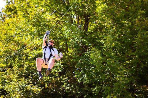 A person in a harness zip-lining through a lush green forest on a sunny day.